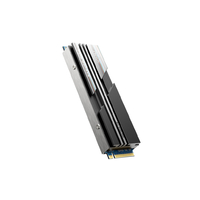 Накопитель SSD (M.2 2280) (NVMe) Netac 500Gb NV5000 (NT01NV5000-500-E4X)
