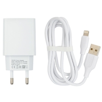 СЗУ VIXION L2i (2-USB/1.2A) + Lightning кабель 1м (белый)